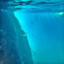 unsupervised-single-image-underwater-depth-estimation